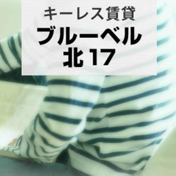ブルーベル北17／札幌不動産・札幌リフォームのMRT株式会社