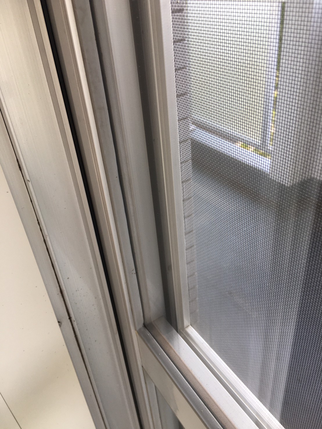 窓ビートカビ除去及び防カビ