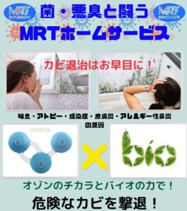 悪臭
